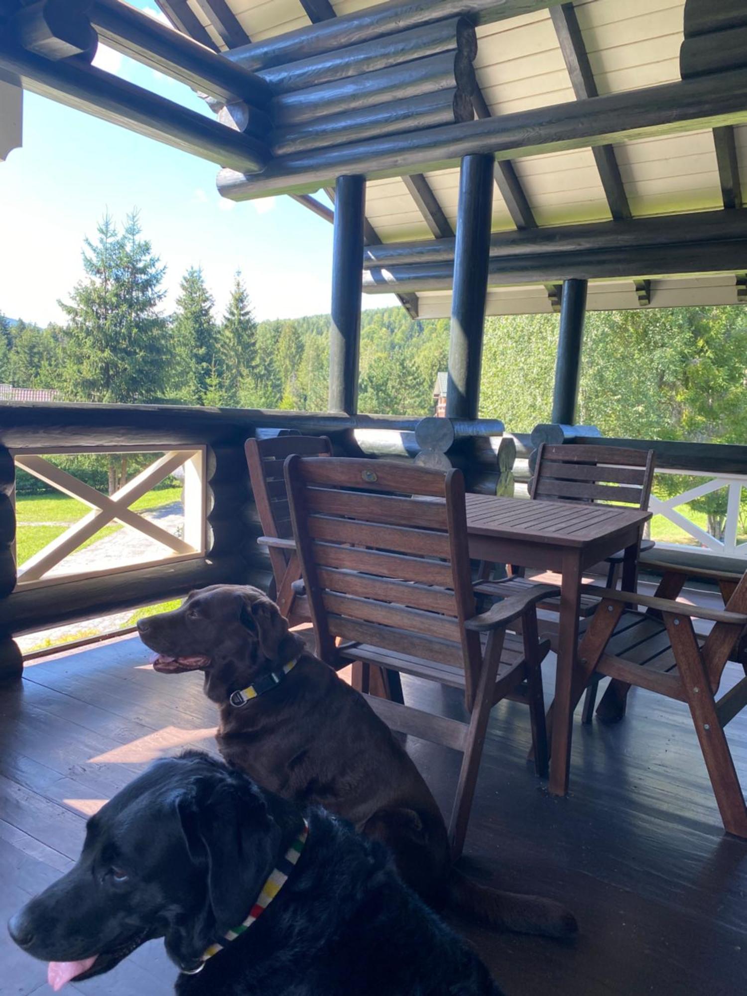 Relaxation In Guta Гута Покращене Шале Extérieur photo